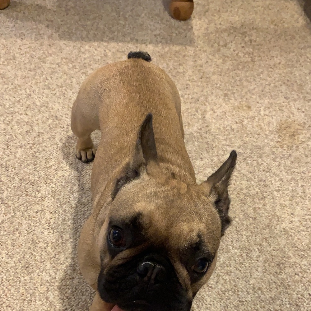 Meet your Posher, Liliana